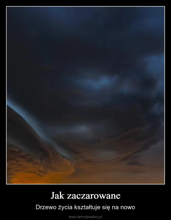 
    Jak zaczarowane