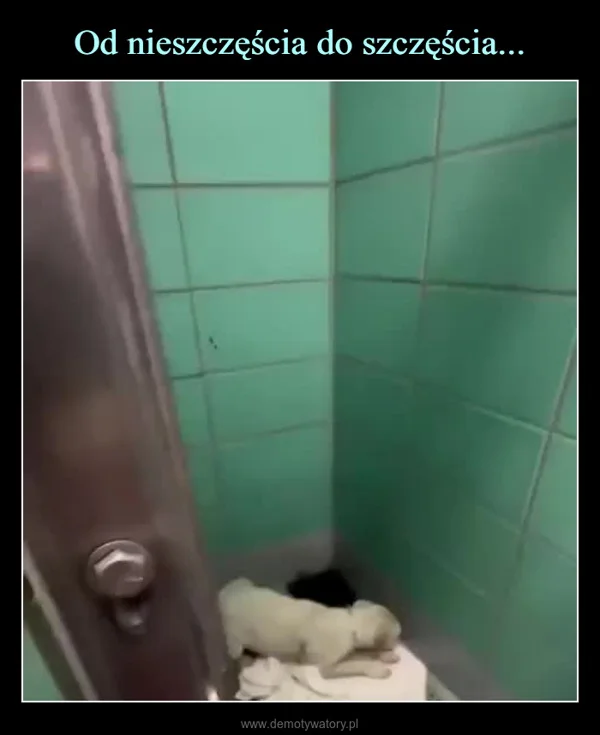 
    Od nieszczęścia do szczęścia...