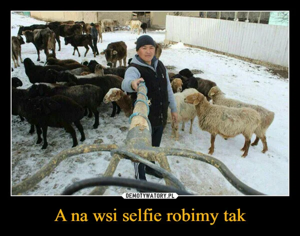 A na wsi selfie robimy tak