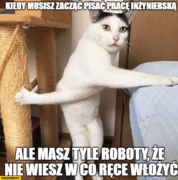 
    Kiedy musisz zacząć pisać pracę inżynierską, ale masz tyle roboty, że nie wiesz w co ręce włożyć kot