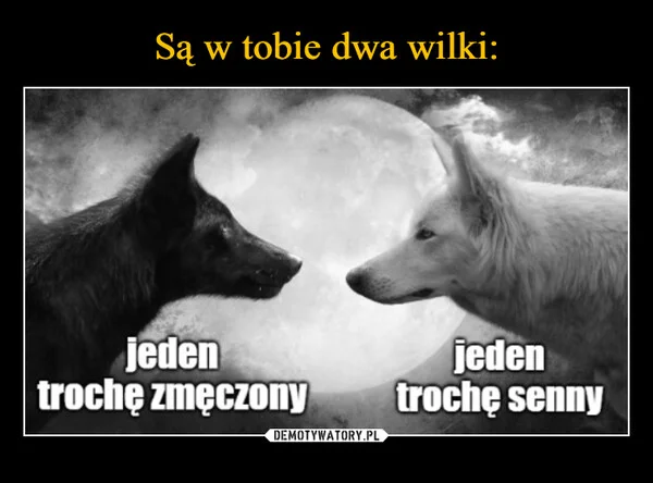 
    Są w tobie dwa wilki: