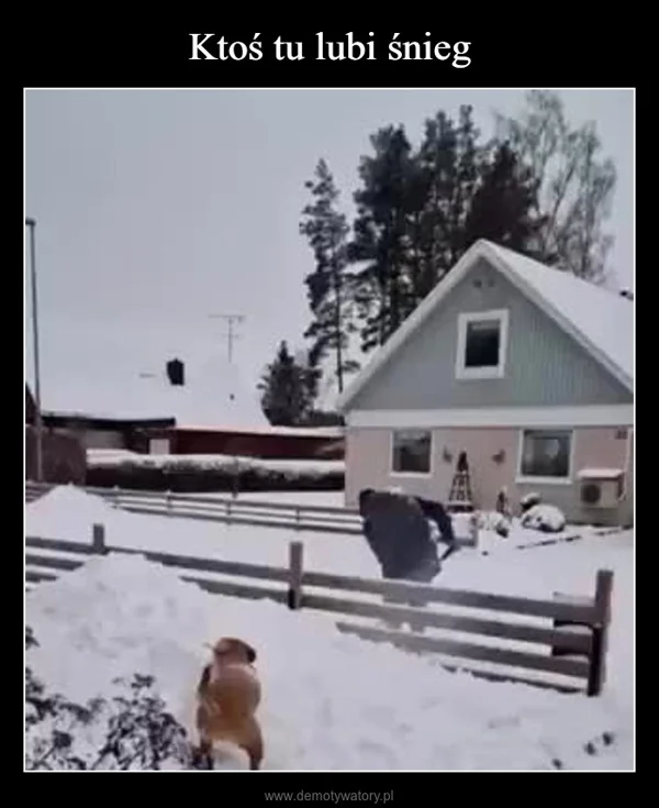 Ktoś tu lubi śnieg