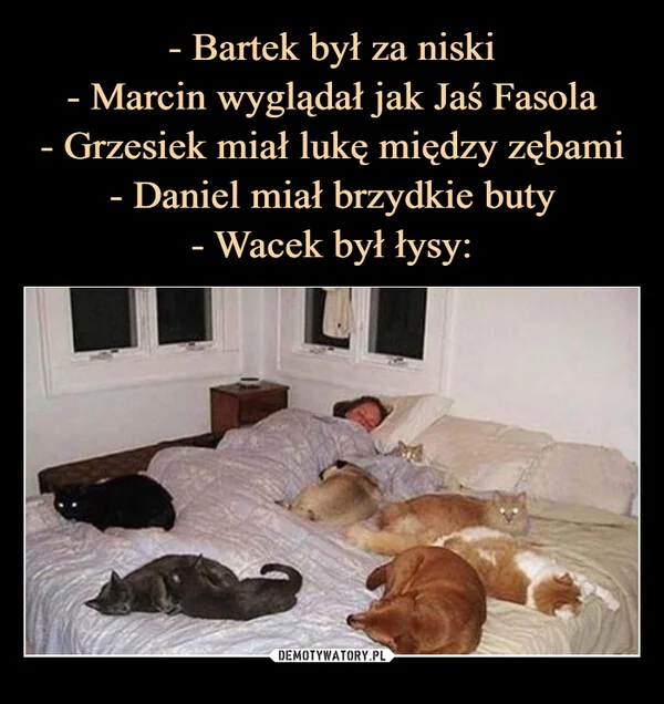 - Bartek był za niski - Marcin wyglądał jak Jaś Fasola - Grzesiek miał lukę między zębami - Daniel miał brzydkie buty - Wacek był łysy: