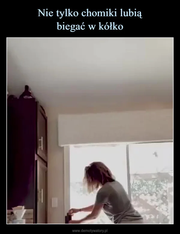 
    Nie tylko chomiki lubią biegać w kółko