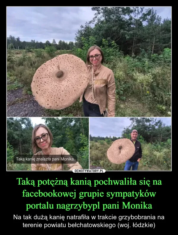 
    Taką potężną kanią pochwaliła się na facebookowej grupie sympatyków portalu nagrzybypl pani Monika