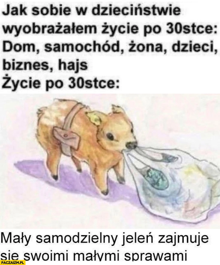 
    Życie po 30-stce: mały samodzielny jeleń zajmuje się swoimi małymi sprawami