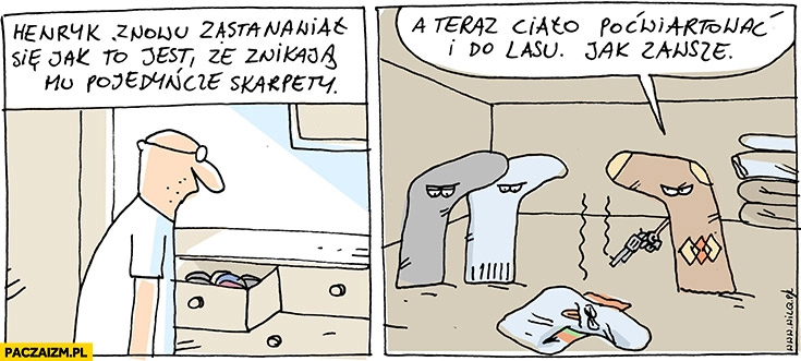 
    Henryk znowu zastanawiał się jak to jest, że znikają mu pojedyncze skarpety. A teraz ciało poćwiartować i do lasu jak zawsze skarpetki Wilq