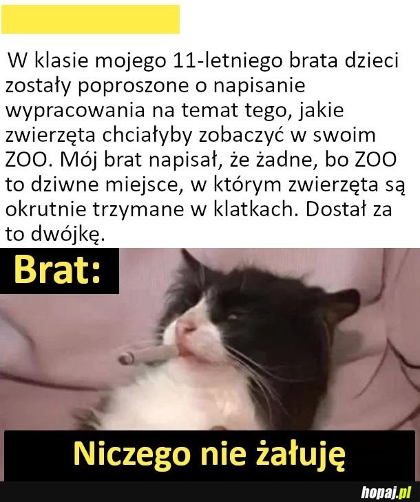 I bardzo dobrze