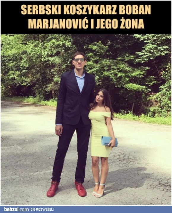 
    Wzrost