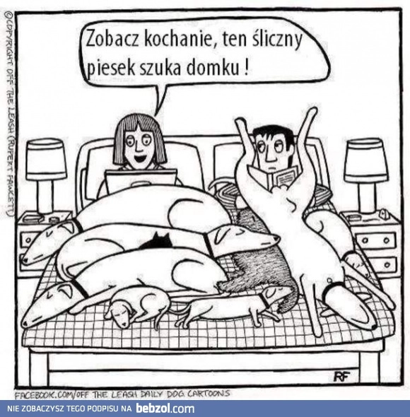 
    Nie uważasz, że to trochę zbyt wiele