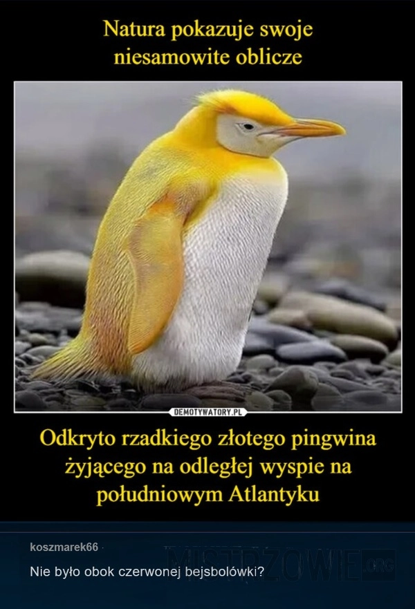 Make Atlantic Great Again