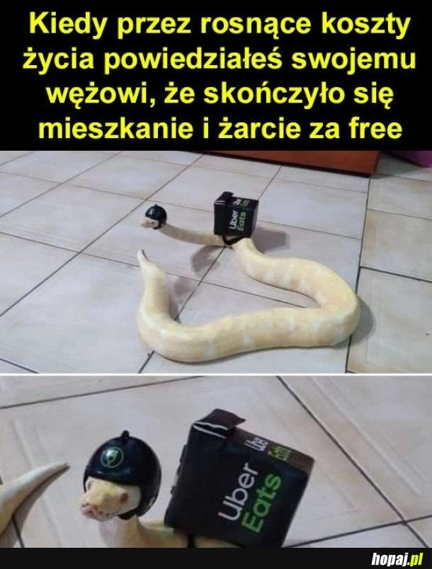 Nie martw sie Jacuś, ogarniemy