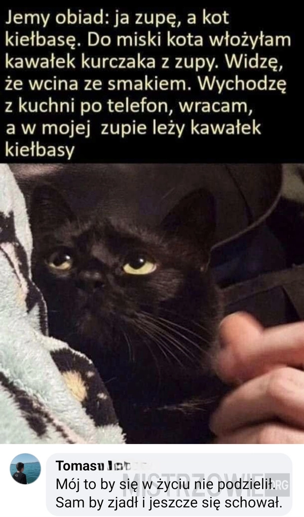 Podziel się