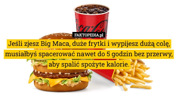 
    Jeśli zjesz Big Maca, duże frytki i wypijesz dużą colę, musiałbyś spacerować