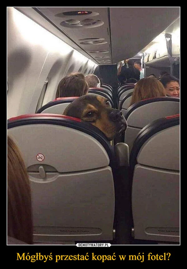 Mógłbyś przestać kopać w mój fotel?