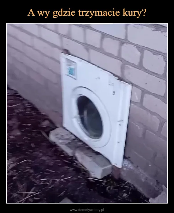 
    A wy gdzie trzymacie kury?