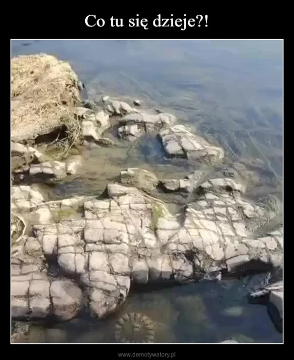Co tu się dzieje?!