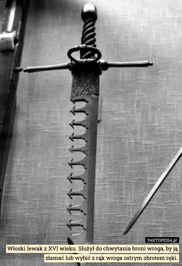 
    Włoski lewak z XVI wieku. Służył do chwytania broni wroga, by ją złamać