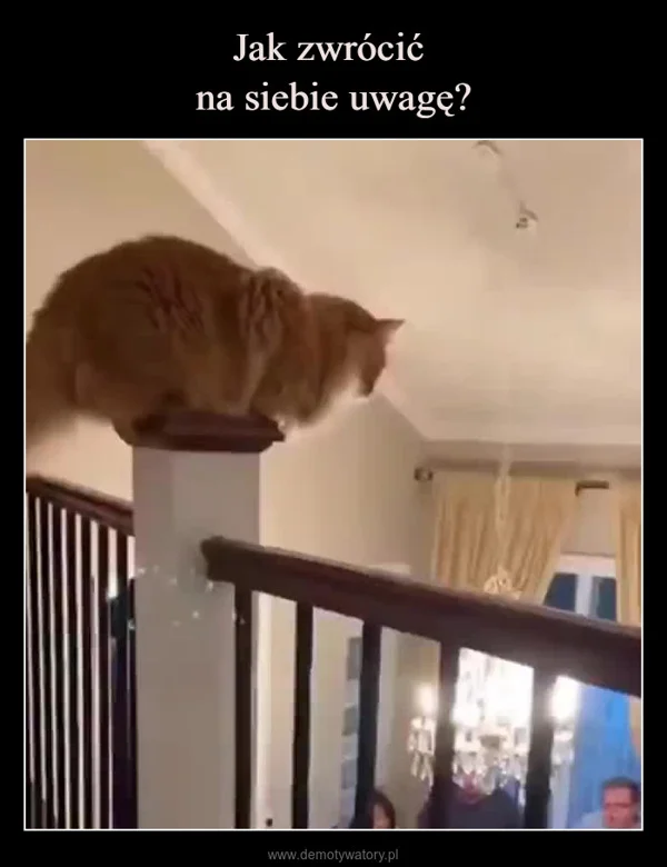 
    Jak zwrócić na siebie uwagę?
