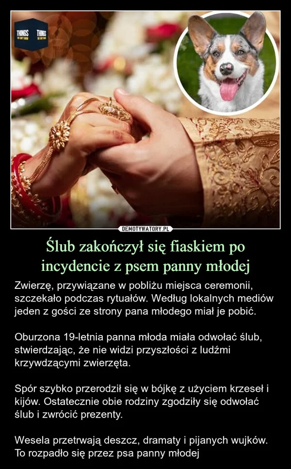 
    Ślub zakończył się fiaskiem po incydencie z psem panny młodej