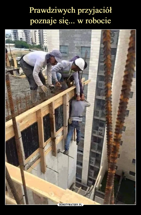 Prawdziwych przyjaciół poznaje się... w robocie