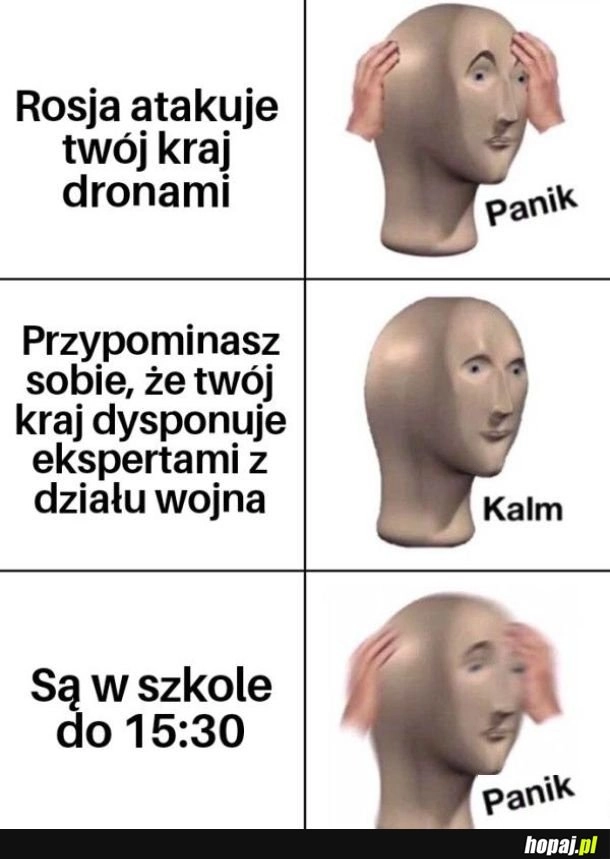 
    Experci z działu wojny
