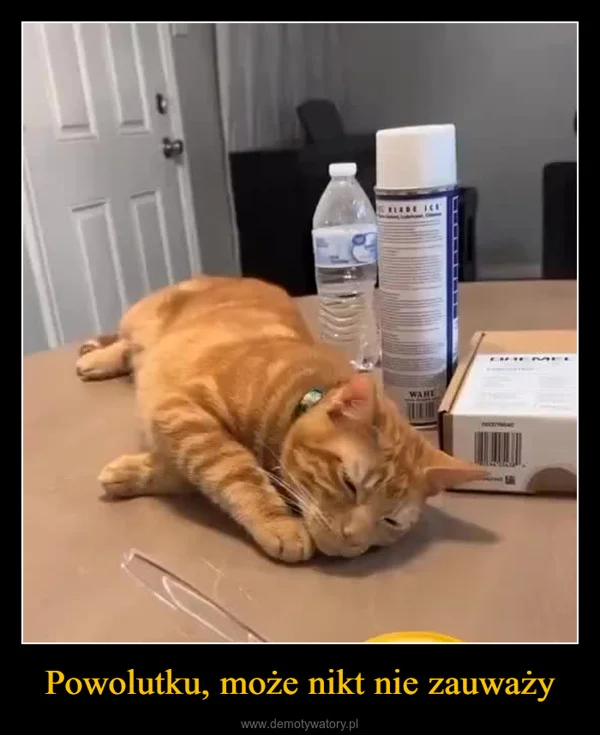 Powolutku, może nikt nie zauważy