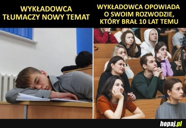 Zajęcia na studiach
