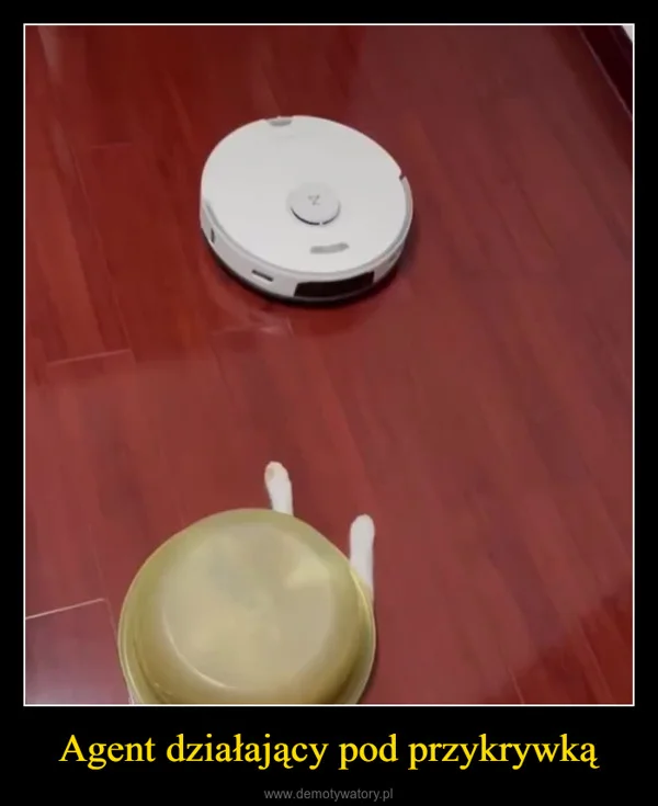 
    Agent działający pod przykrywką