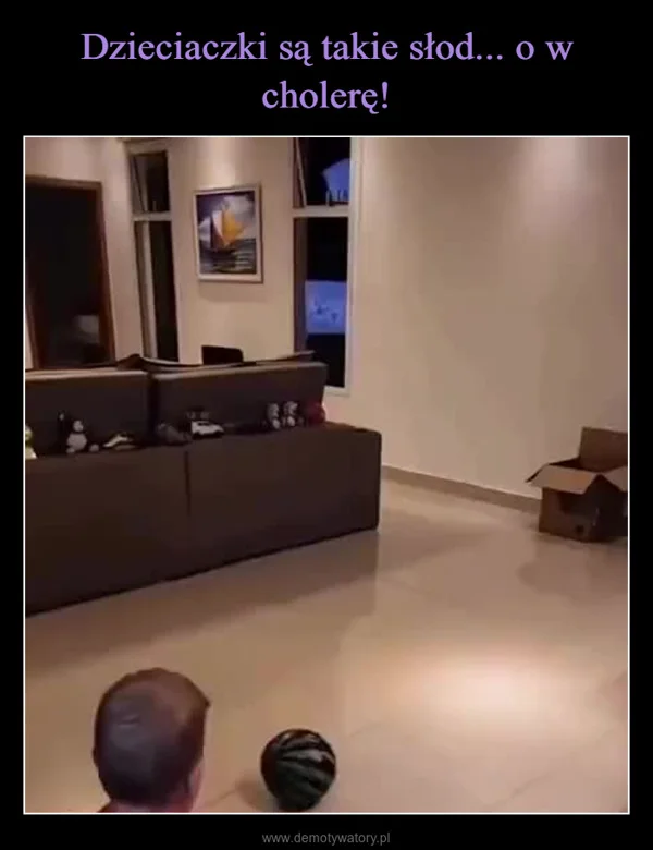 
    Dzieciaczki są takie słod... o w cholerę!