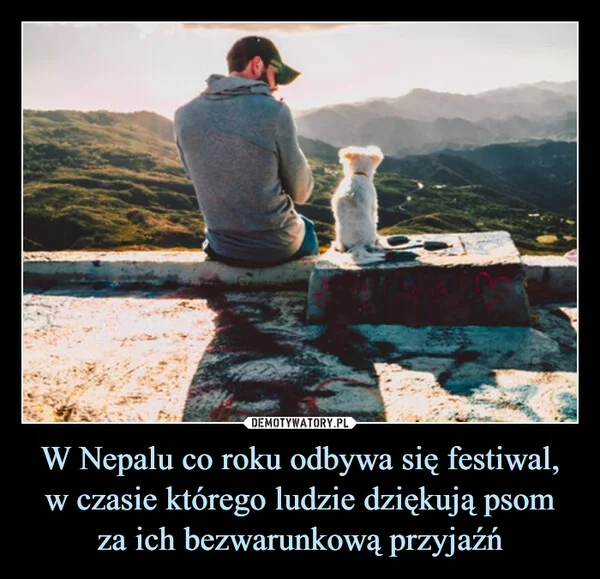 
    W Nepalu co roku odbywa się festiwal, w czasie którego ludzie dziękują psom za ich bezwarunkową przyjaźń