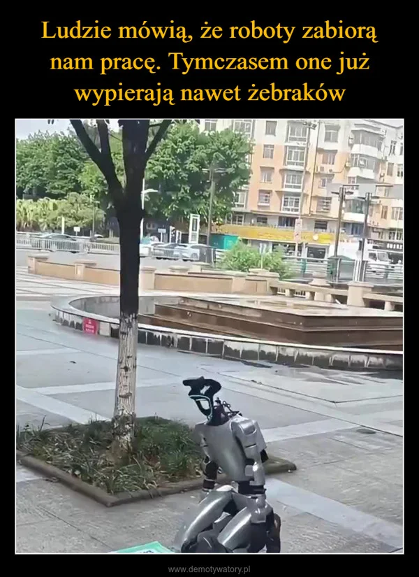 Ludzie mówią, że roboty zabiorą nam pracę. Tymczasem one już wypierają nawet żebraków