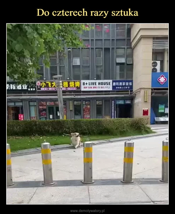 
    Do czterech razy sztuka