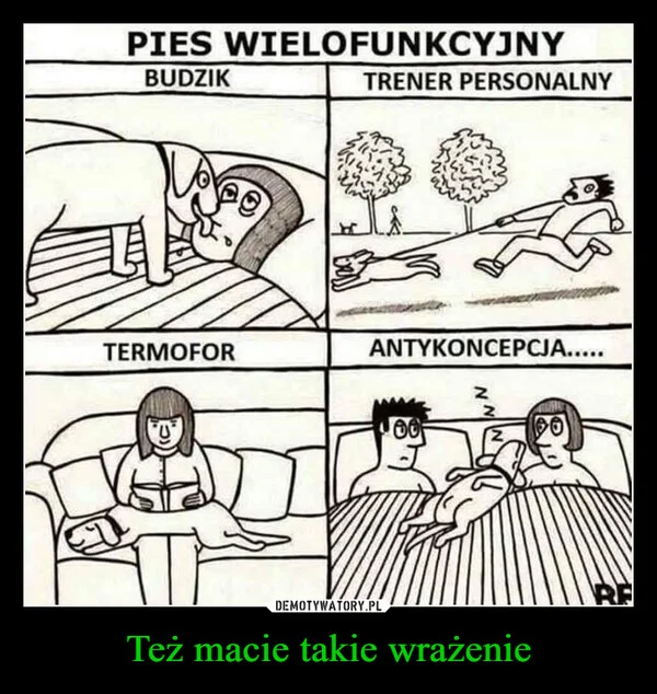 Też macie takie wrażenie