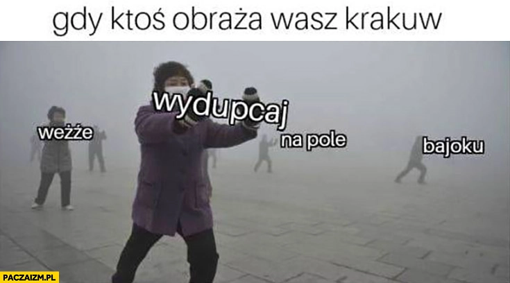 
    Gdy ktoś obraża wasz Kraków weźże wydupcaj na pole bajoku