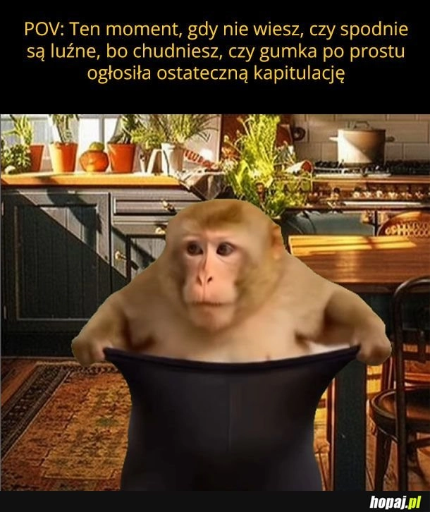 I tak dobrze znam odpowiedź