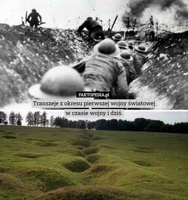 Transzeje z okresu pierwszej wojny światowej
w czasie wojny i dziś.