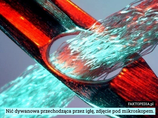 Nić dywanowa przechodząca przez igłę, zdjęcie pod mikroskopem.