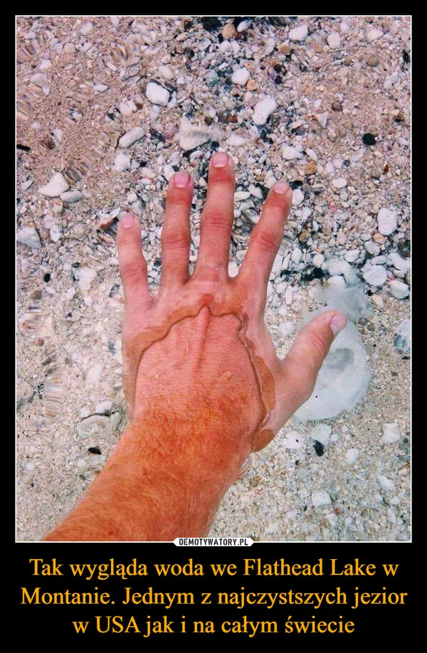 
    Tak wygląda woda we Flathead Lake w Montanie. Jednym z najczystszych jezior w USA jak i na całym świecie