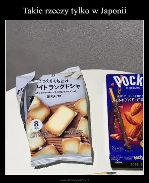 
    Takie rzeczy tylko w Japonii