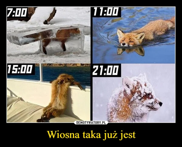 
    Wiosna taka już jest