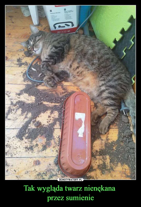 Tak wygląda twarz nienękana przez sumienie