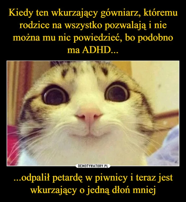 Kiedy ten wkurzający gówniarz, któremu rodzice na wszystko pozwalają i nie można mu nic powiedzieć, bo podobno ma ADHD... ...odpalił petardę w piwnicy i teraz jest wkurzający o jedną dłoń mniej