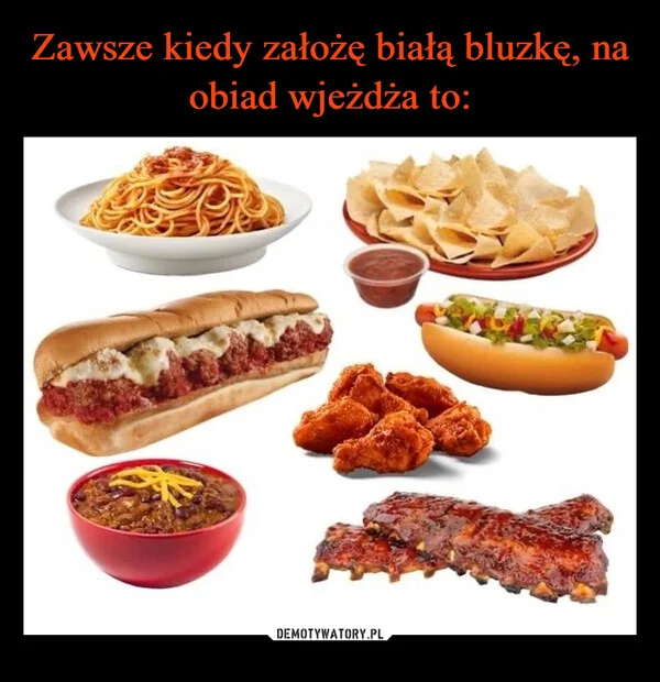 
    Zawsze kiedy założę białą bluzkę, na obiad wjeżdża to: