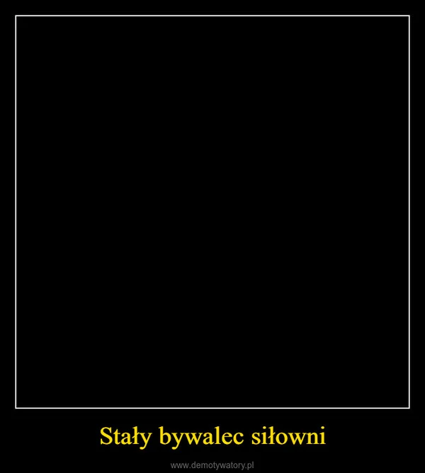 
    Stały bywalec siłowni
