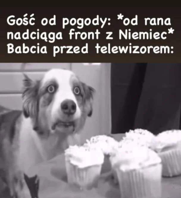 
    Wspomnienia wracają