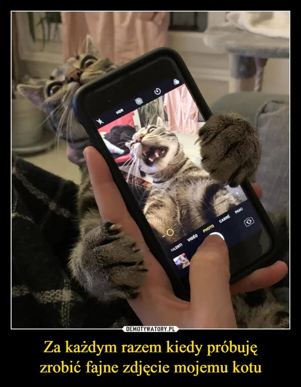 
    Za każdym razem kiedy próbuję zrobić fajne zdjęcie mojemu kotu