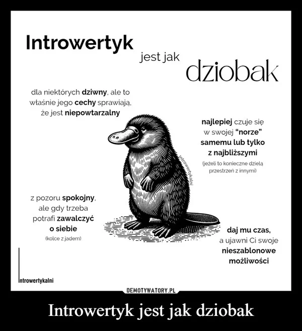 
    Introwertyk jest jak dziobak