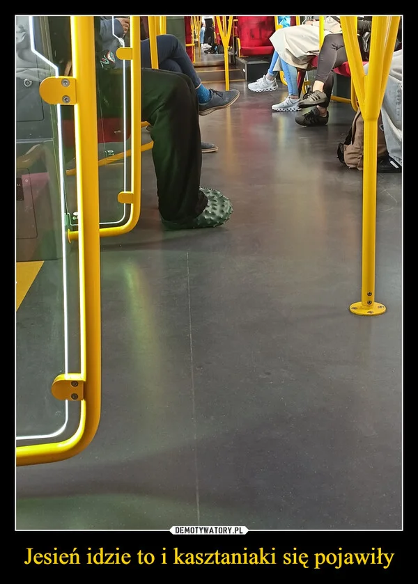 
    Jesień idzie to i kasztaniaki się pojawiły