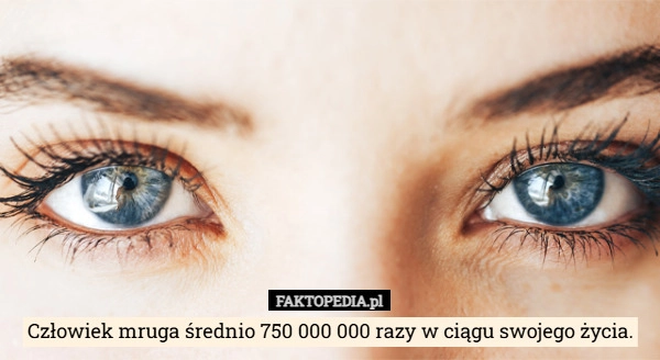 
    Człowiek mruga średnio 750 000 000 razy w ciągu swojego życia.